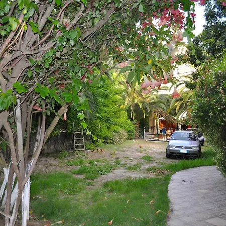House Litsa With Parking And Gardens 50m From Agios Gordios Apartment *