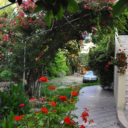 House Litsa With Parking And Gardens 50m From Agios Gordios *